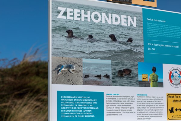 Medium property photo - Breesaapstraat Bouwnummer 5b, 1975 CB IJmuiden